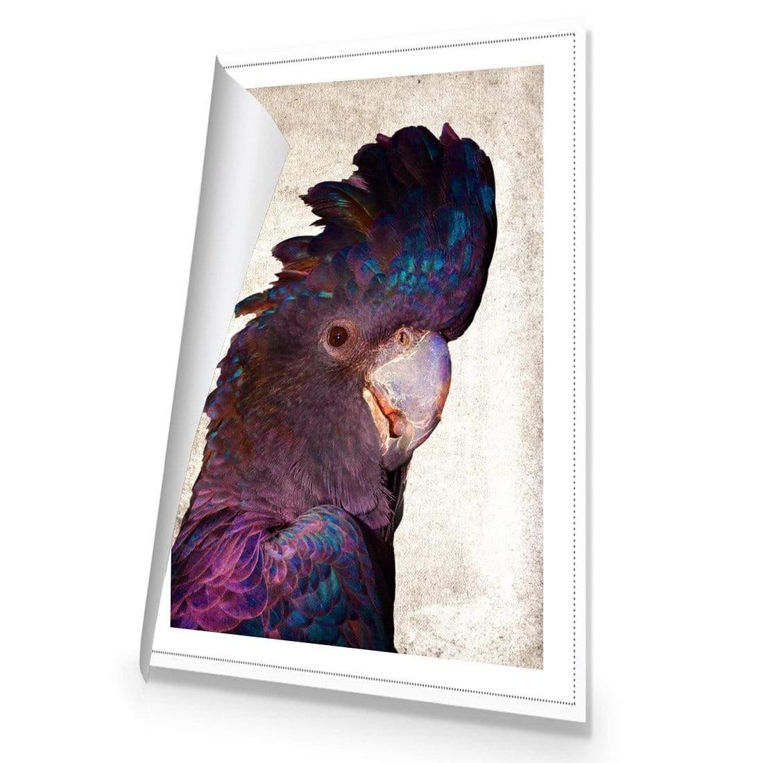 Curious Cocky, Grunge - Wall Art Designs - 2761_AR_V WAD_CP - MPY - 260 - M - R_45x30_NONE