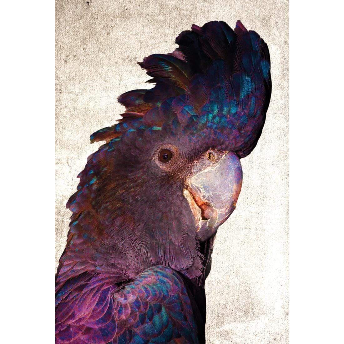 Curious Cocky, Grunge - Wall Art Designs - 2761_AR_V WAD_CP - MPY - 260 - M - S - S_45x30_NONE