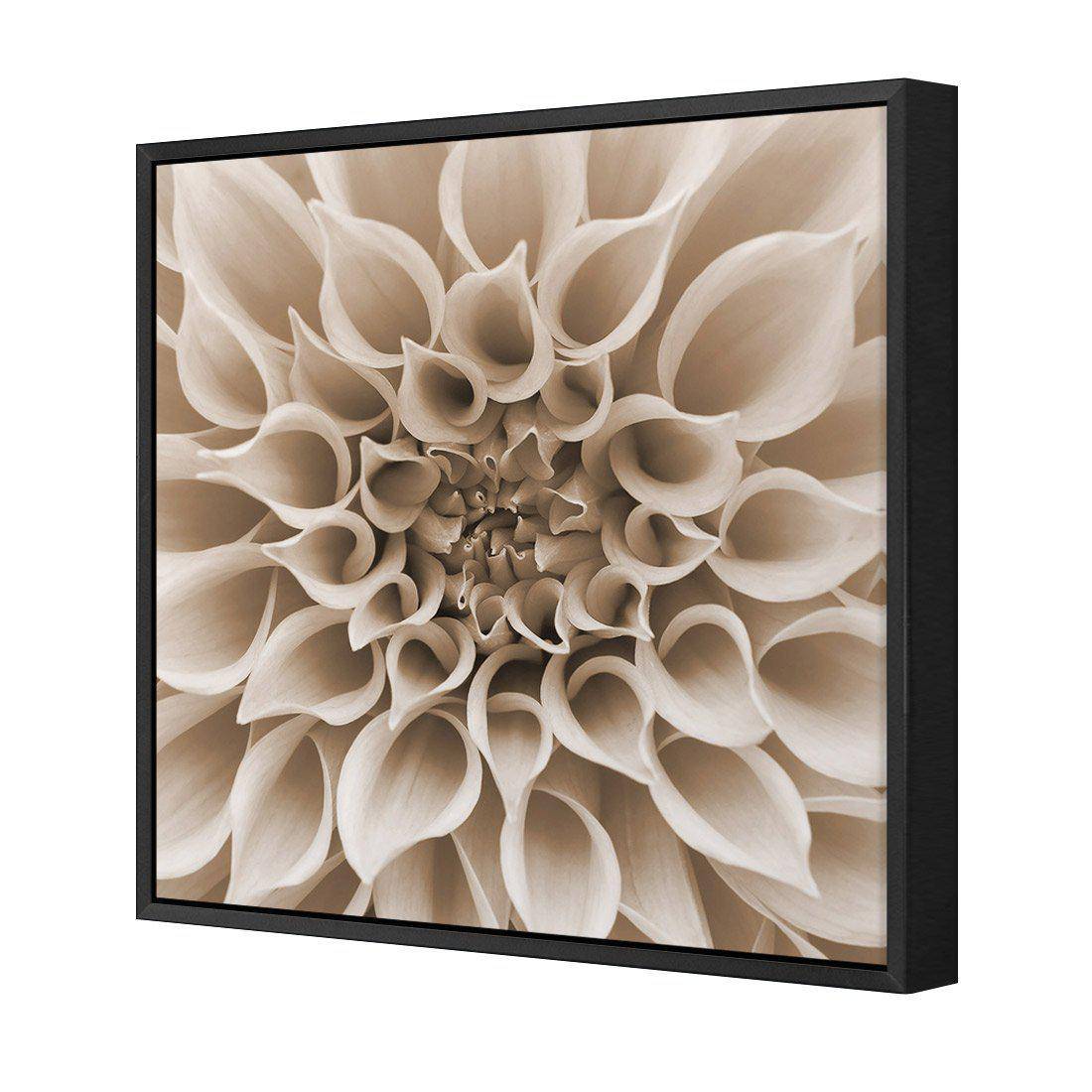 Dahlia Delight, Sepia | Standard Canvas | Floating Frame | Black
