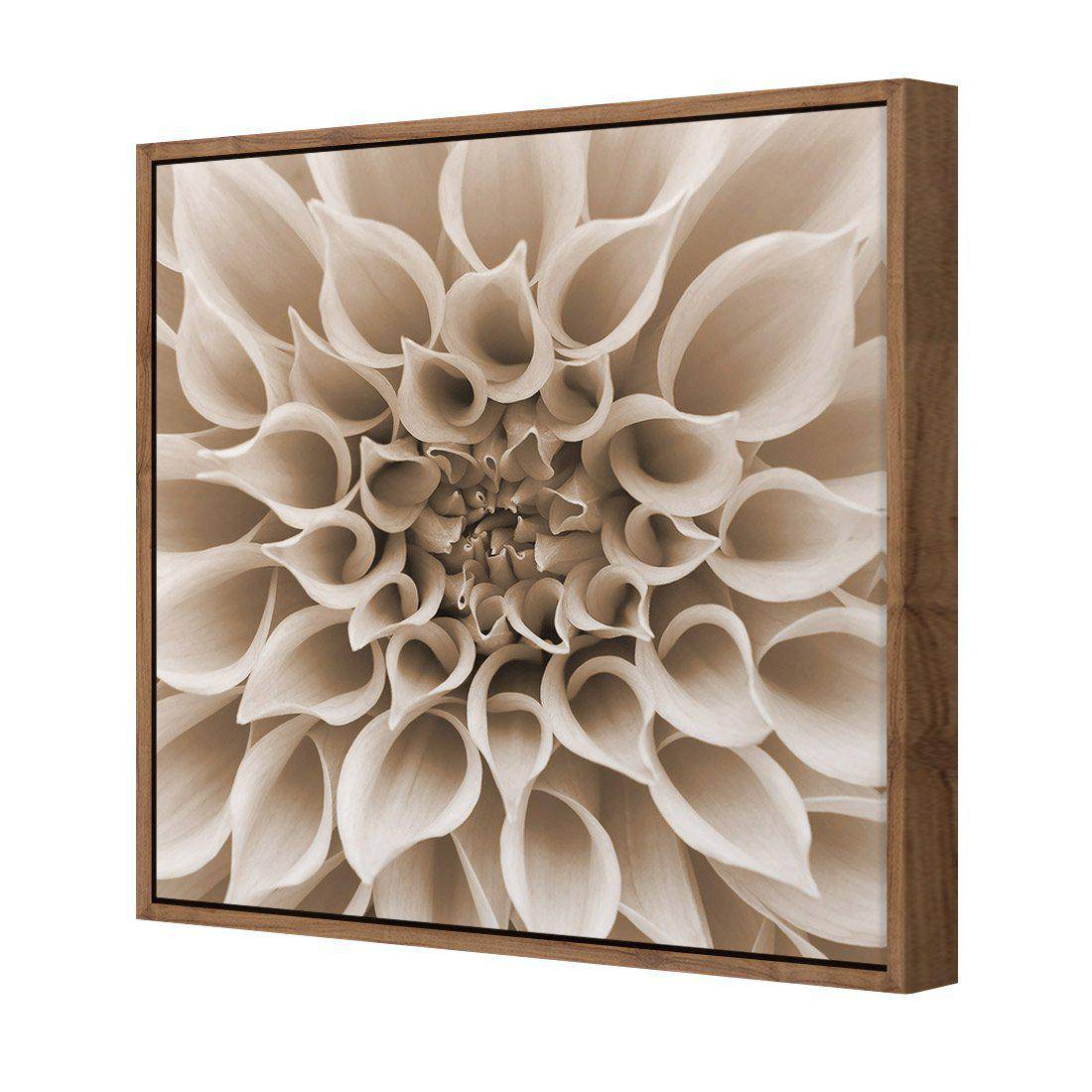 Dahlia Delight, Sepia | Standard Canvas | Floating Frame | Natural