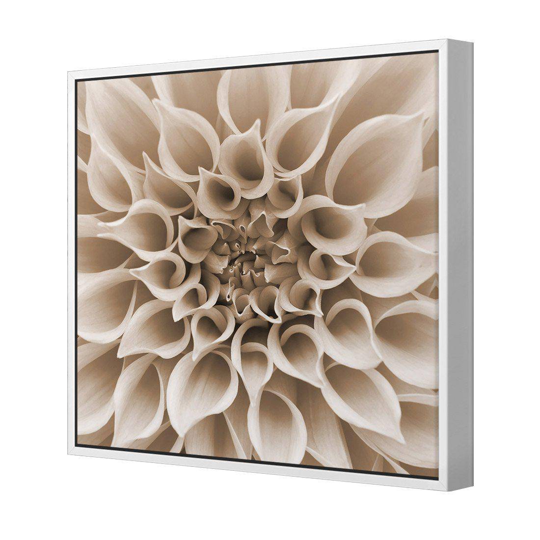 Dahlia Delight, Sepia | Standard Canvas | Floating Frame | White