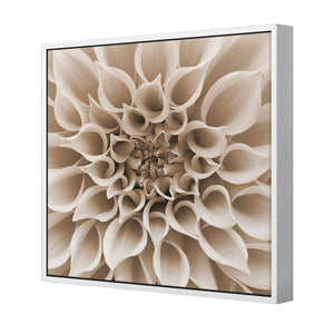 Dahlia Delight, Sepia | Standard Canvas | Floating Frame | White