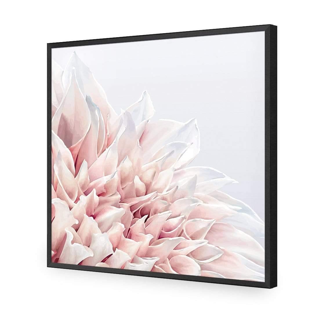 Dahlia Softness - Wall Art Designs - 3906_AS_Q WAD_AP - 030 - EDG_37x37_S - 2538 - BLK