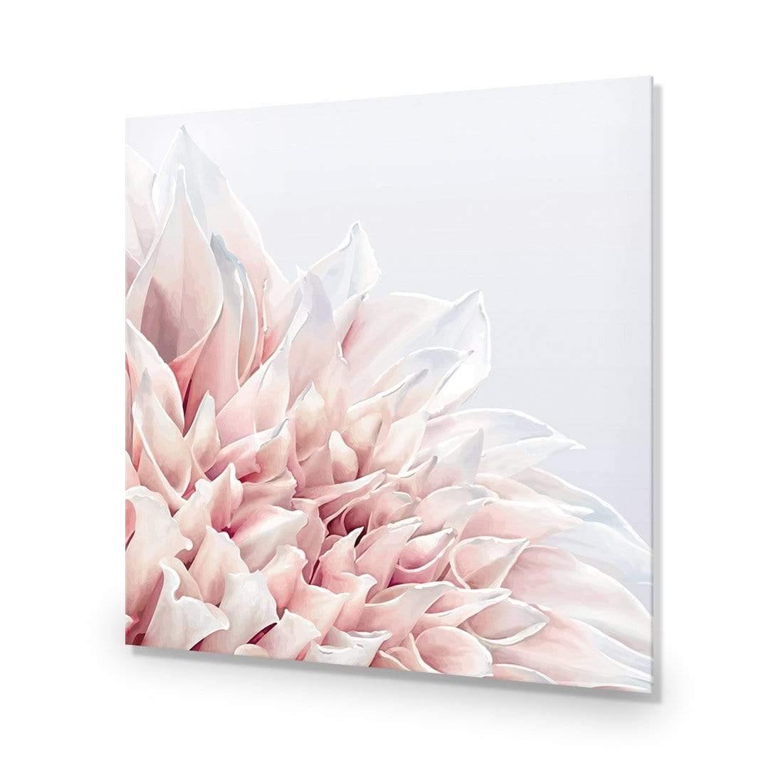 Dahlia Softness - Wall Art Designs - 3906_AS_Q WAD_AP - 030 - EDG_37x37_NONE