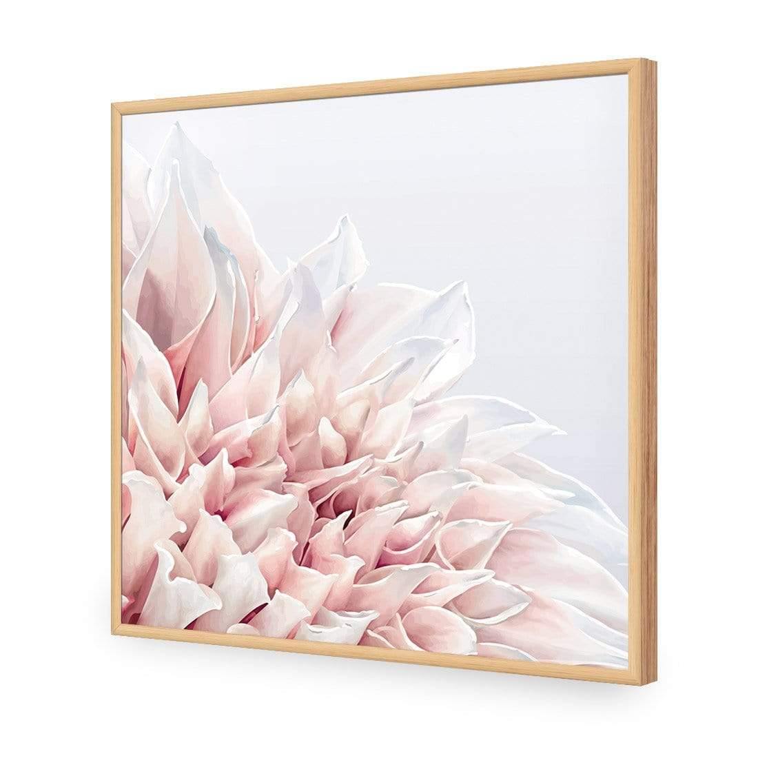 Dahlia Softness - Wall Art Designs - 3906_AS_Q WAD_AP - 030 - EDG_37x37_S - 2538 - OAK