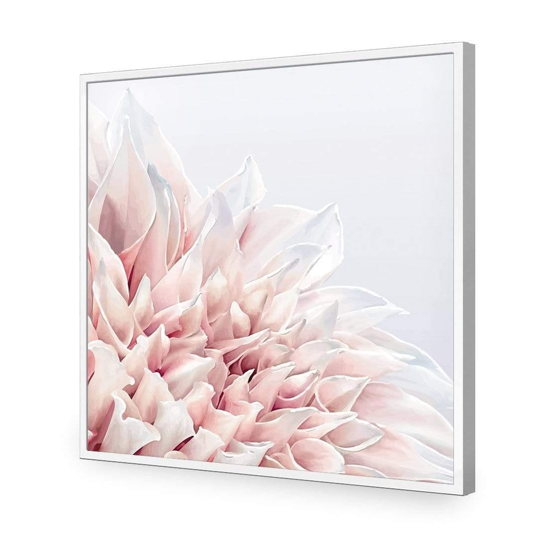 Dahlia Softness - Wall Art Designs - 3906_AS_Q WAD_AP - 030 - EDG_37x37_S - 2538 - WHT