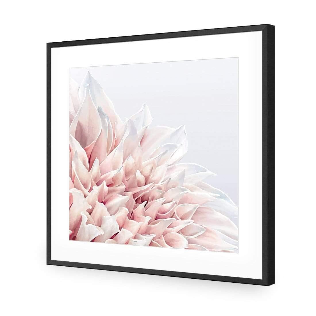 Dahlia Softness - Wall Art Designs - 3906_AS_Q WAD_AP - 030 - MAT_37x37_S - 2538 - BLK