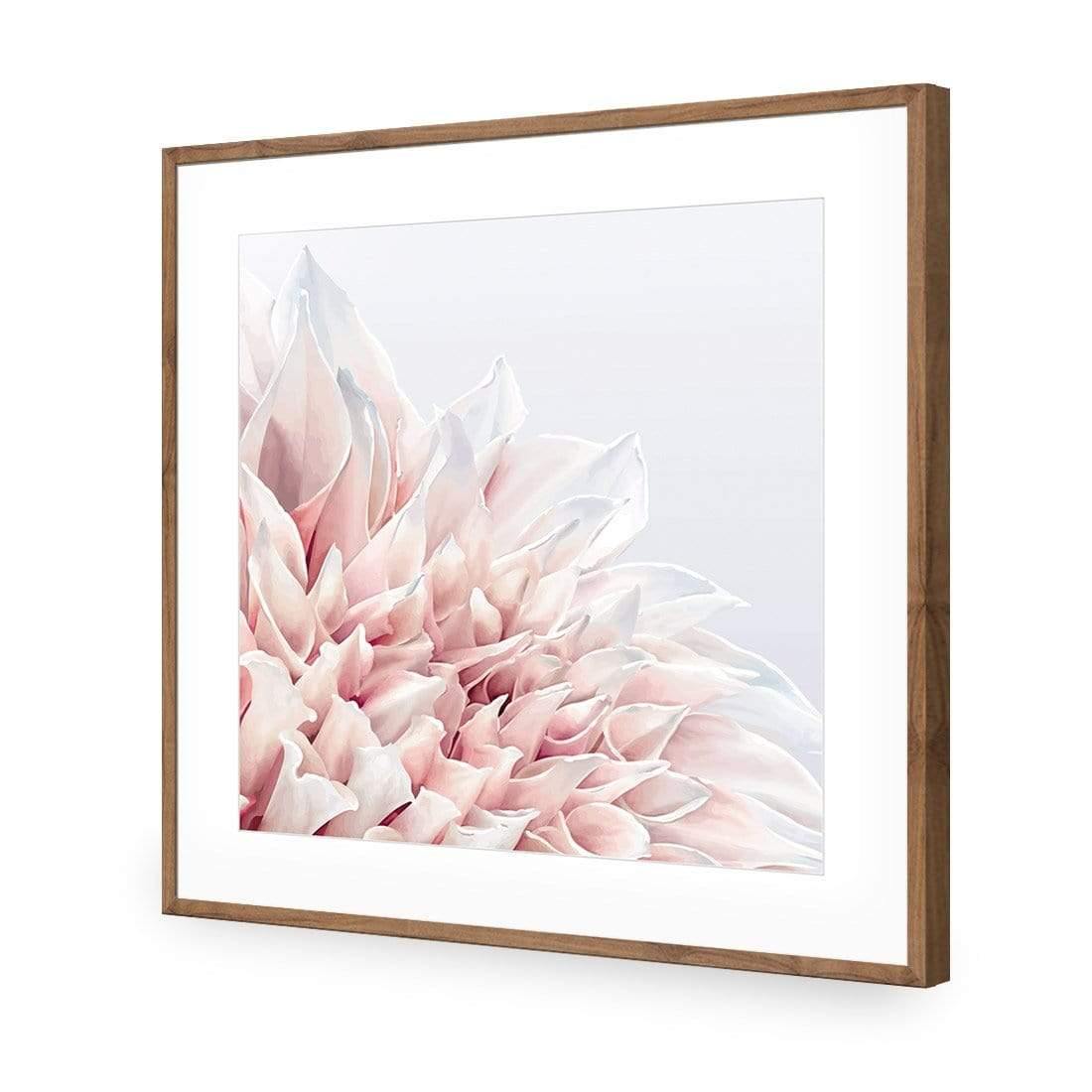 Dahlia Softness - Wall Art Designs - 3906_AS_Q WAD_AP - 030 - MAT_37x37_S - 2538 - NAT