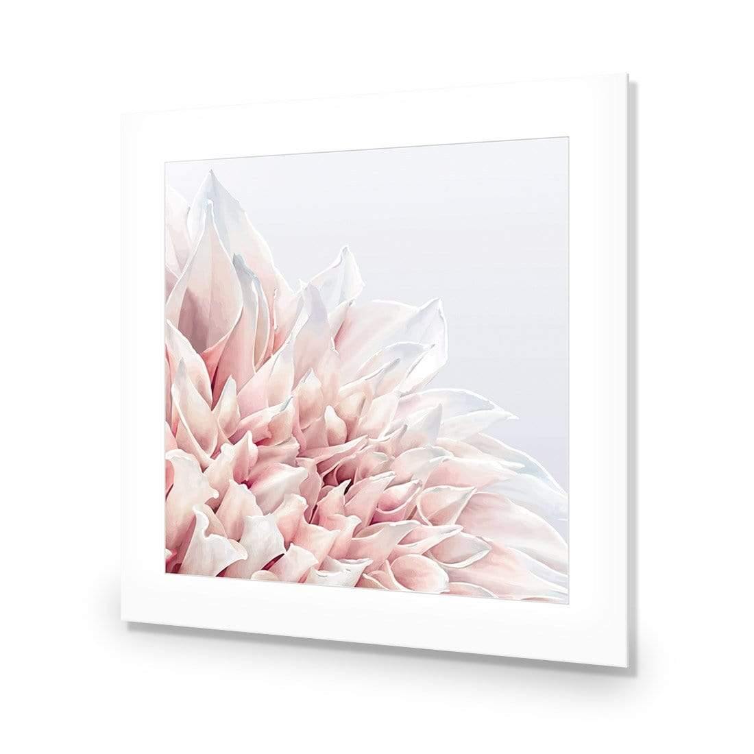 Dahlia Softness - Wall Art Designs - 3906_AS_Q WAD_AP - 030 - MAT_37x37_NONE