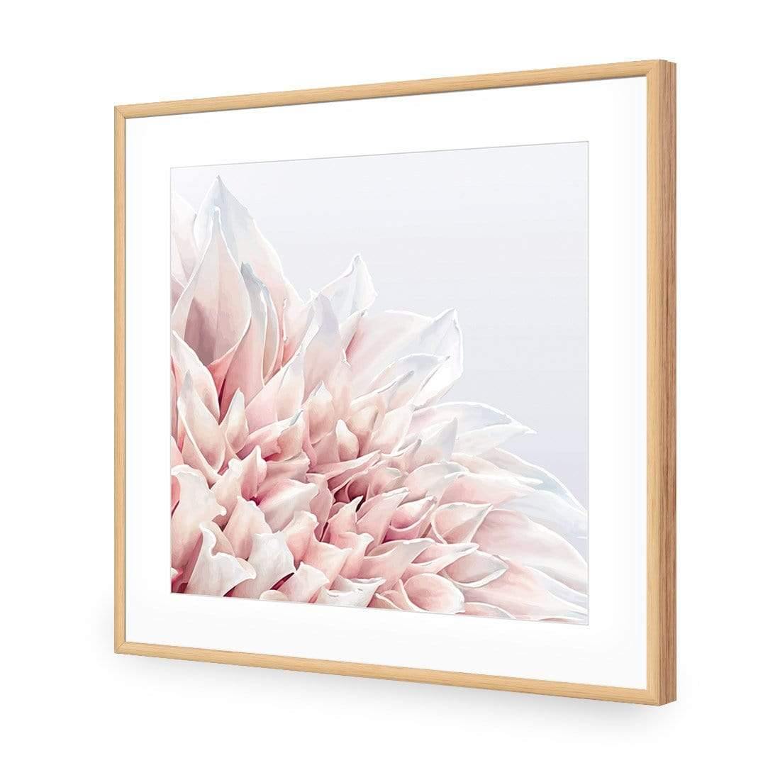 Dahlia Softness - Wall Art Designs - 3906_AS_Q WAD_AP - 030 - MAT_37x37_S - 2538 - OAK