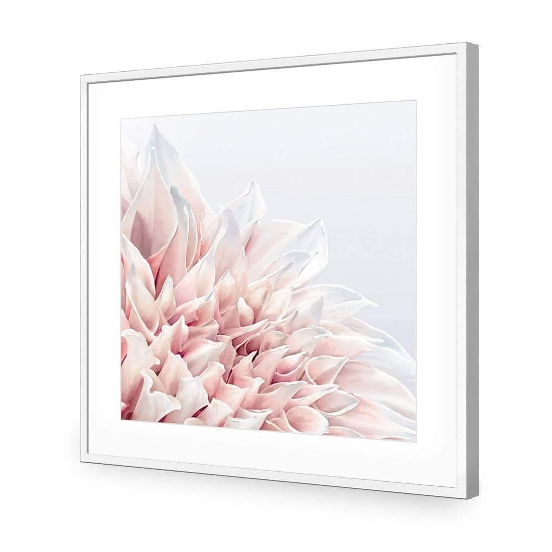 Dahlia Softness - Wall Art Designs - 3906_AS_Q WAD_AP - 030 - MAT_37x37_S - 2538 - WHT