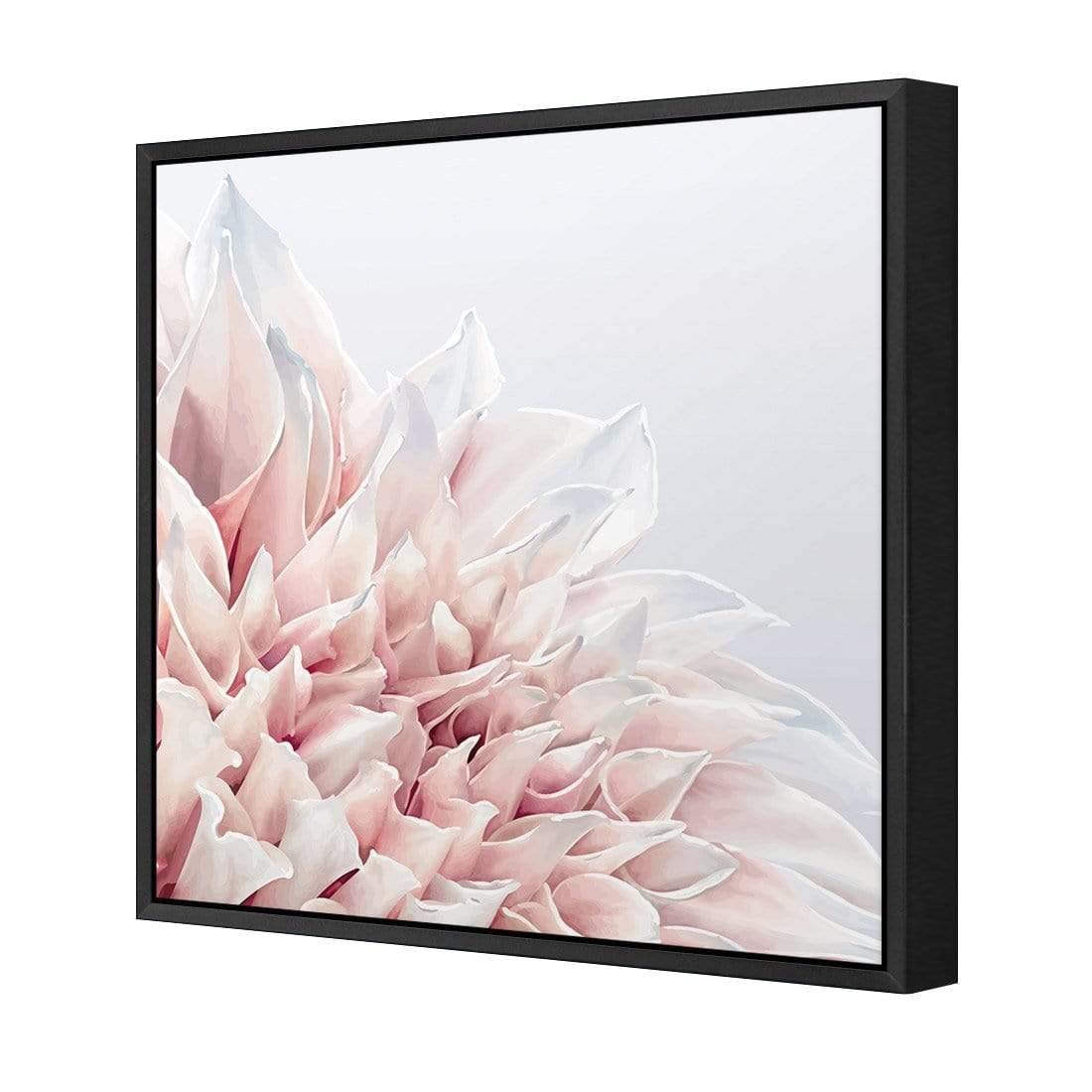 Dahlia Softness - Wall Art Designs - 3906_AS_Q WAD_CP - MPY - 260 - M - S - S_37x37_S - 1550 - BLK