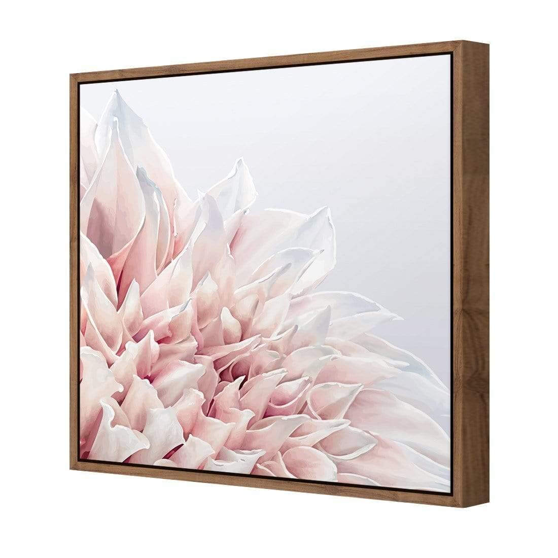 Dahlia Softness - Wall Art Designs - 3906_AS_Q WAD_CP - MPY - 260 - M - S - S_37x37_S - 1550 - NAT