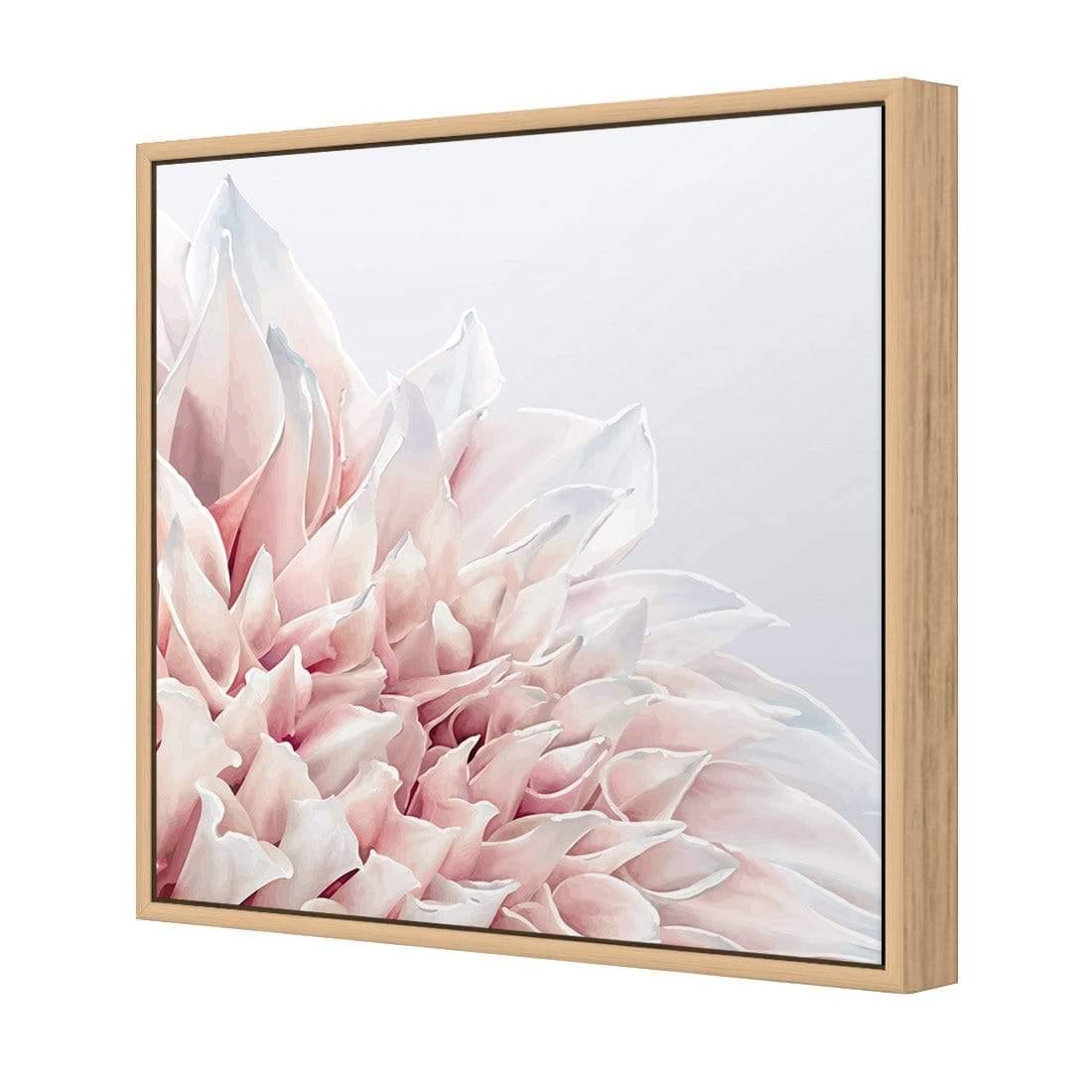 Dahlia Softness - Wall Art Designs - 3906_AS_Q WAD_CP - MPY - 260 - M - S - S_37x37_S - 1550 - OAK