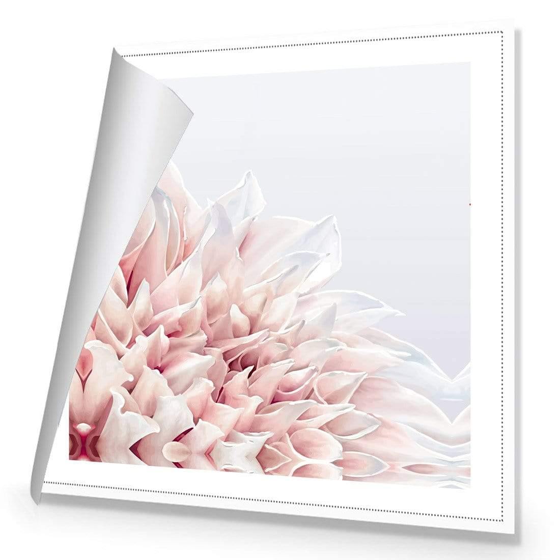 Dahlia Softness - Wall Art Designs - 3906_AS_Q WAD_CP - MPY - 260 - M - R_37x37_NONE