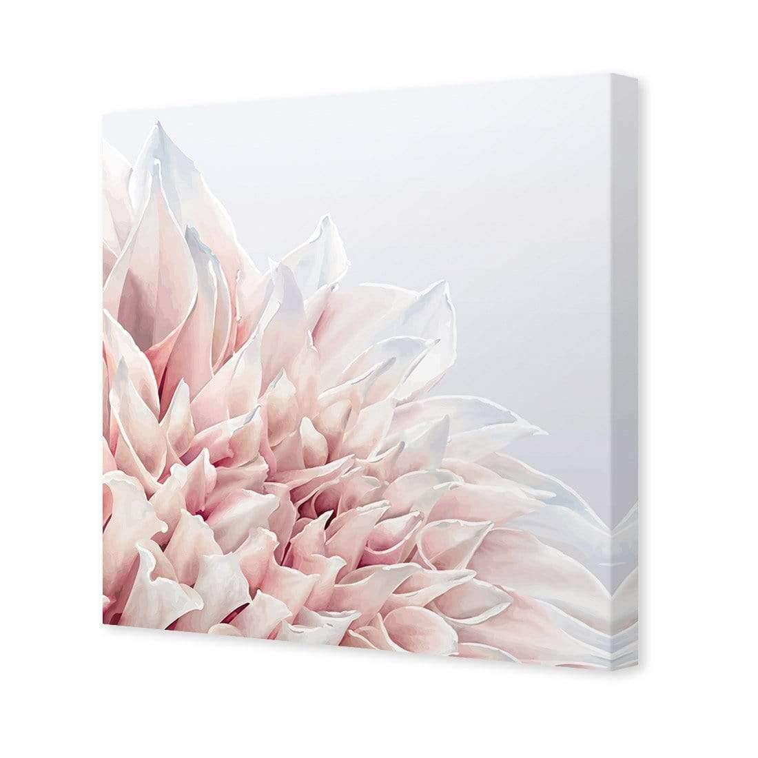 Dahlia Softness - Wall Art Designs - 3906_AS_Q WAD_CP - MPY - 260 - M - S - S_37x37_NONE