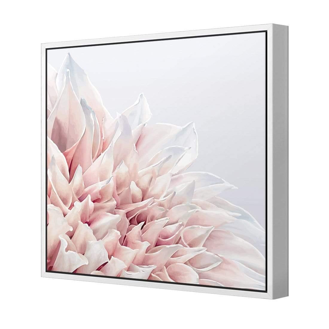 Dahlia Softness - Wall Art Designs - 3906_AS_Q WAD_CP - MPY - 260 - M - S - S_37x37_S - 1550 - WHT