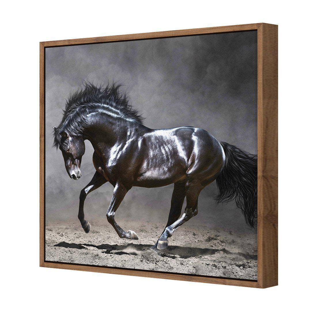 Dark Horse, Moonlight | Standard Canvas | Floating Frame | Natural