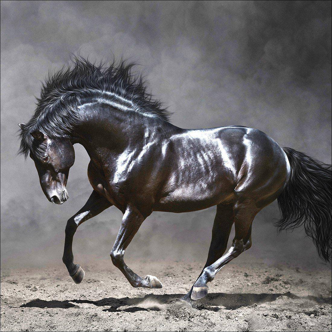 Dark Horse, Moonlight