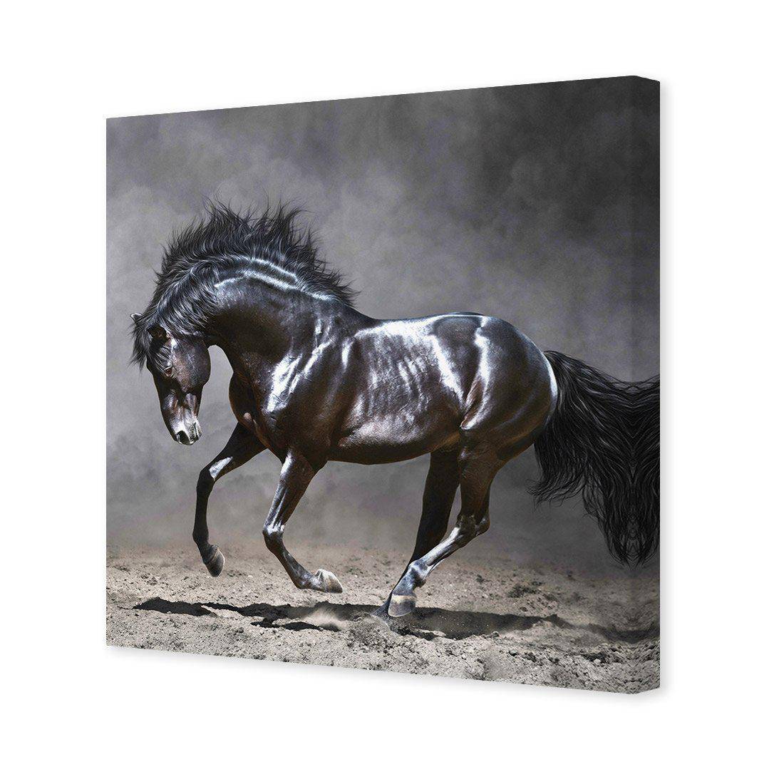 Dark Horse, Moonlight | Standard Canvas | No Frame | Stretched Canvas