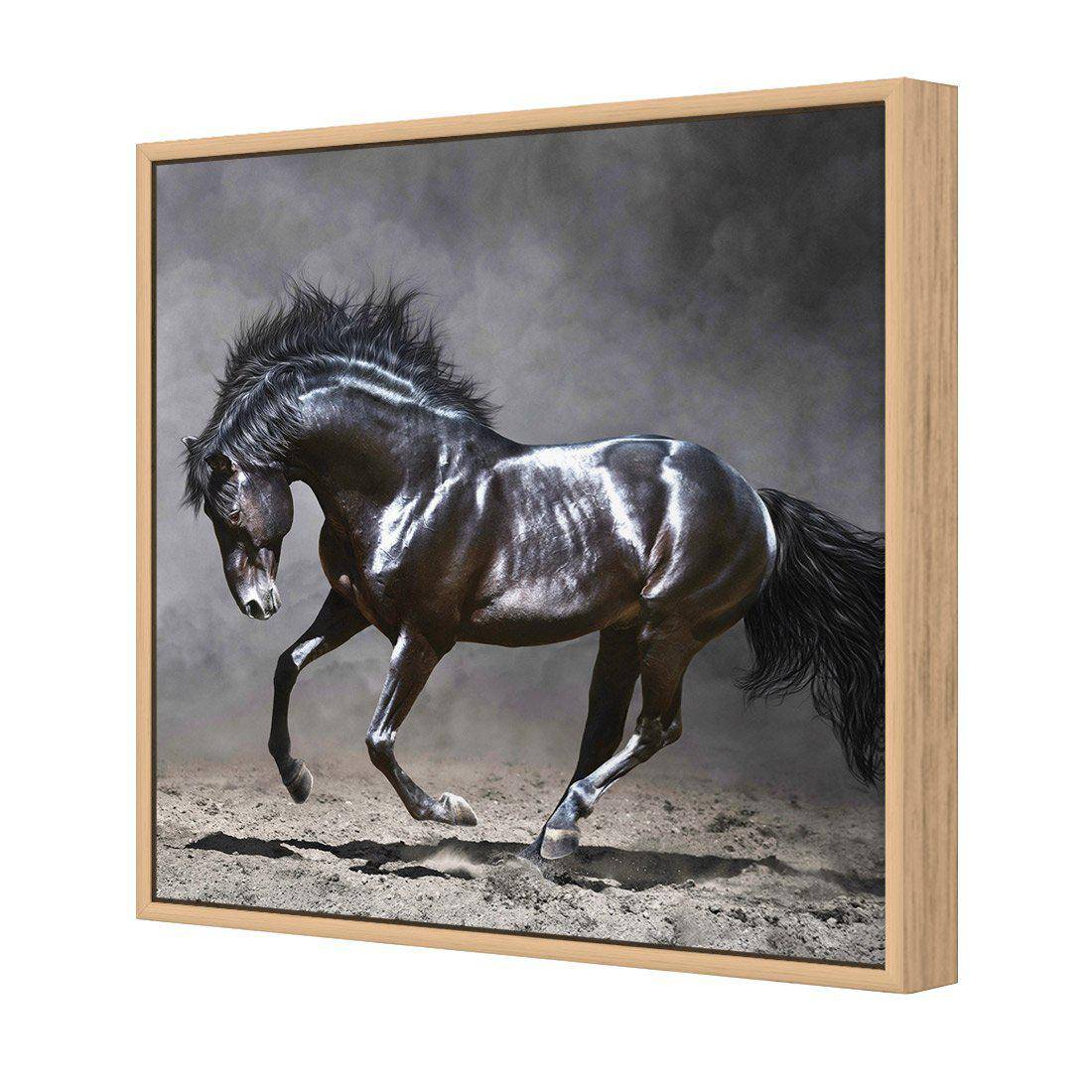 Dark Horse, Moonlight Canvas Art - Wall Art Designs - 2759_DS_Q WAD_CP - MPY - 260 - M - S - S_30x30_S - 1550 - OAK