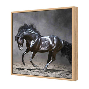Dark Horse, Moonlight | Standard Canvas | Floating Frame | Oak