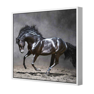 Dark Horse, Moonlight | Standard Canvas | Floating Frame | White