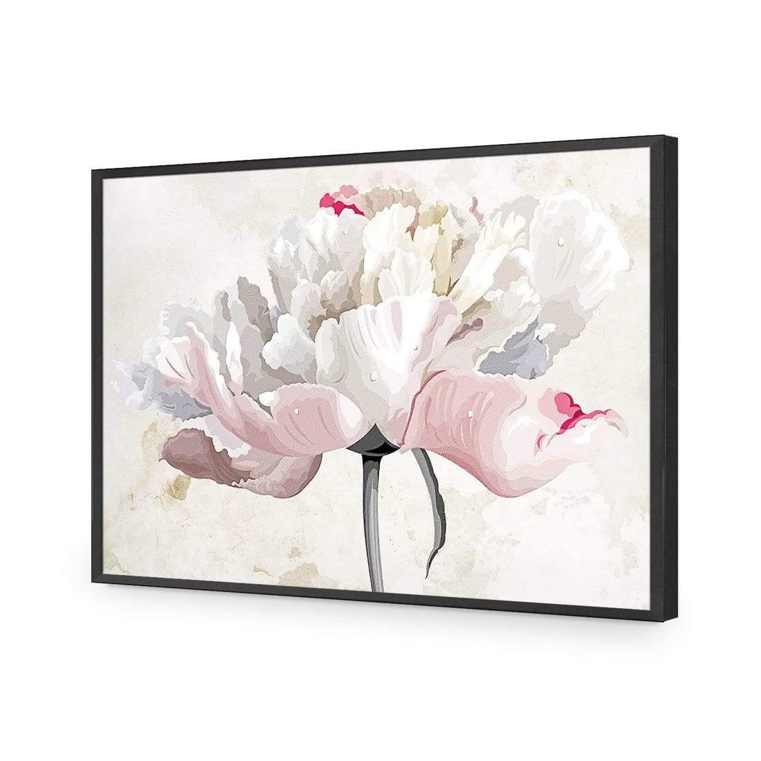 Delicate Bloom - Wall Art Designs - AU_1024_AR_H CAF_AP - 030 - EDG_45x30_S - 2538 - BLK