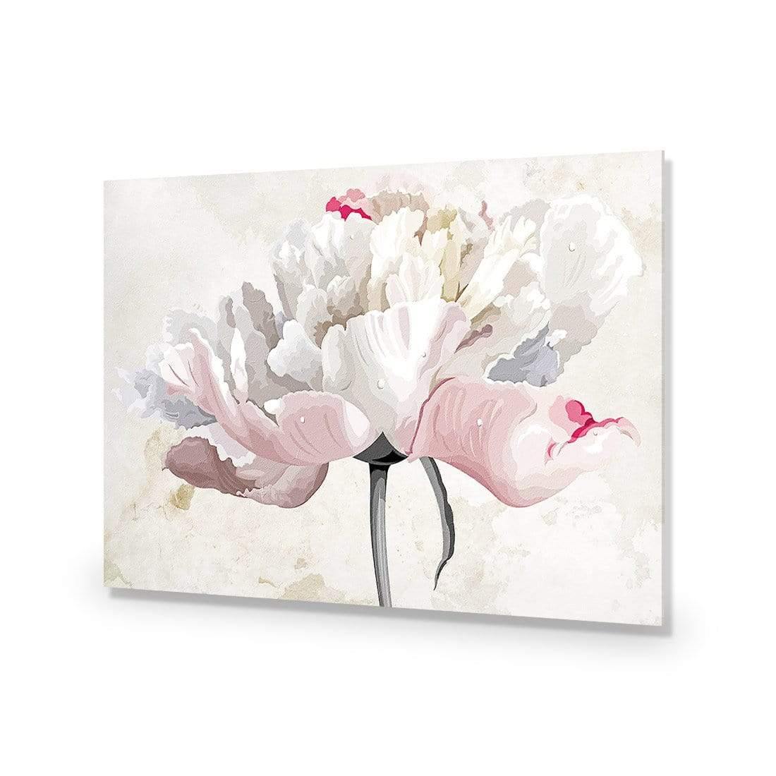 Delicate Bloom - Wall Art Designs - AU_1024_AR_H CAF_AP - 030 - EDG_45x30_NONE