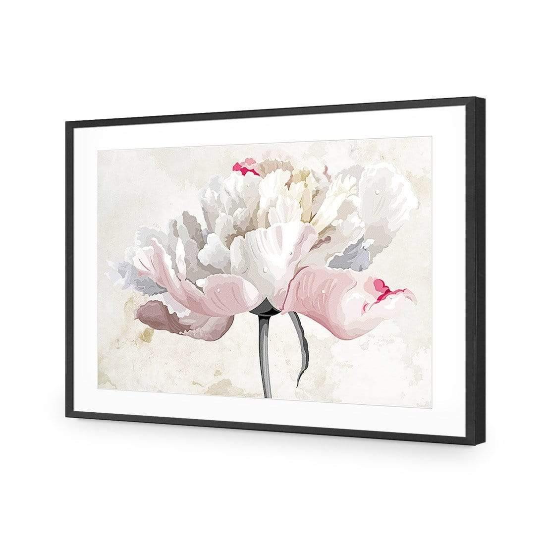 Delicate Bloom - Wall Art Designs - AU_1024_AR_H CAF_AP - 030 - MAT_45x30_S - 2538 - BLK