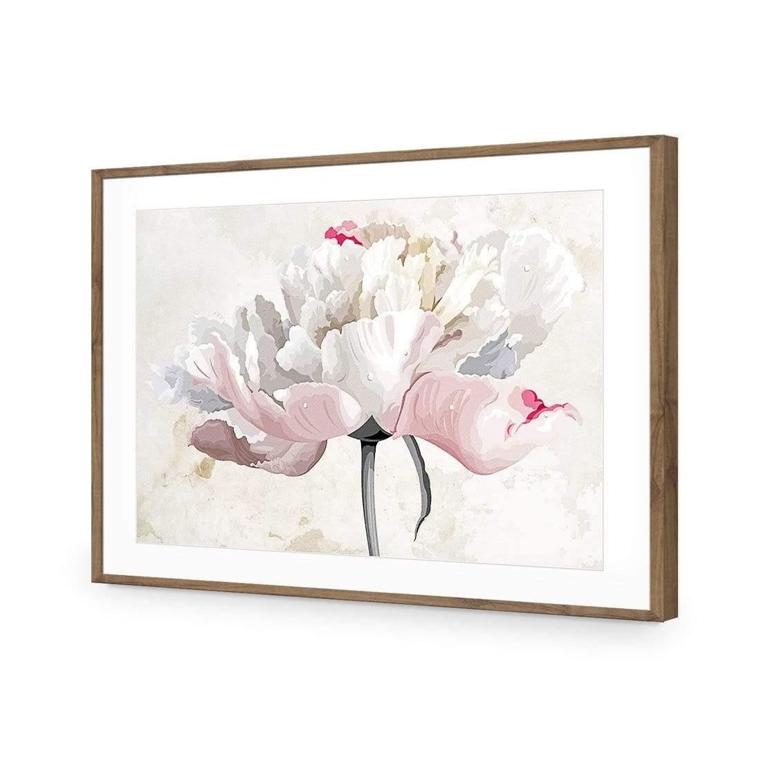 Delicate Bloom - Wall Art Designs - AU_1024_AR_H CAF_AP - 030 - MAT_45x30_S - 2538 - NAT