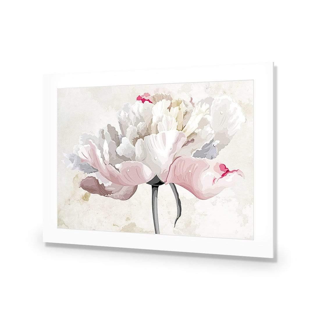 Delicate Bloom - Wall Art Designs - AU_1024_AR_H CAF_AP - 030 - MAT_45x30_NONE