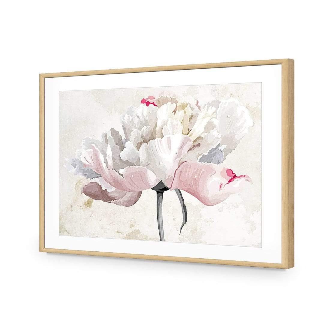 Delicate Bloom - Wall Art Designs - AU_1024_AR_H CAF_AP - 030 - MAT_45x30_S - 2538 - OAK