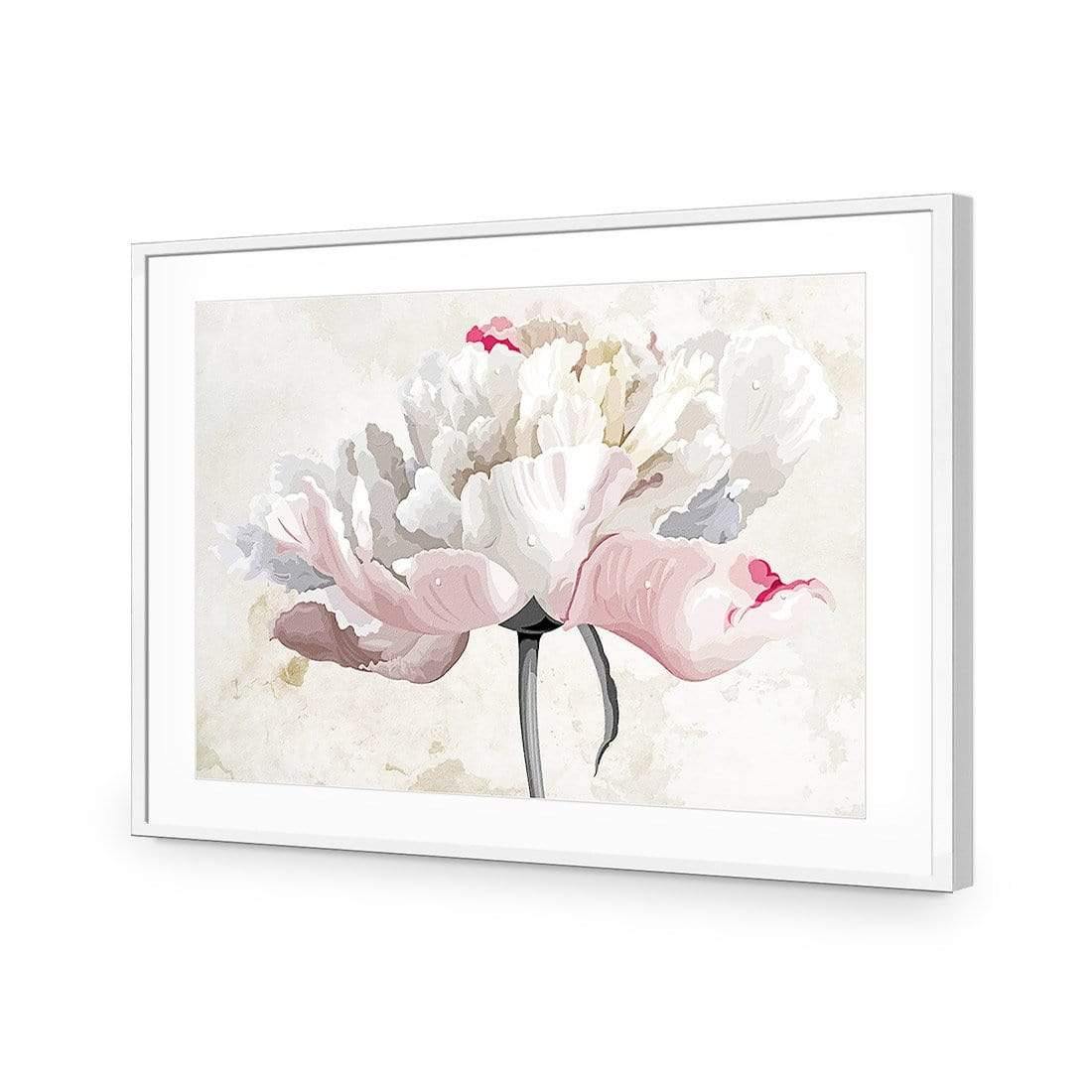 Delicate Bloom - Wall Art Designs - AU_1024_AR_H CAF_AP - 030 - MAT_45x30_S - 2538 - WHT