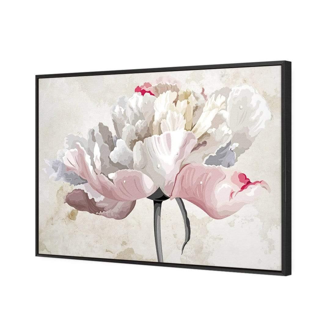 Delicate Bloom - Wall Art Designs - AU_1024_AR_H CAF_CP - MPY - 260 - M - S - S_45x30_S - 1550 - BLK