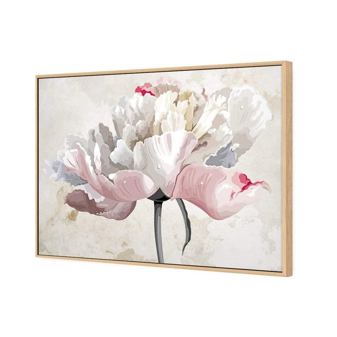 Delicate Bloom - Wall Art Designs - AU_1024_AR_H CAF_CP - MPY - 260 - M - S - S_45x30_S - 1550 - OAK