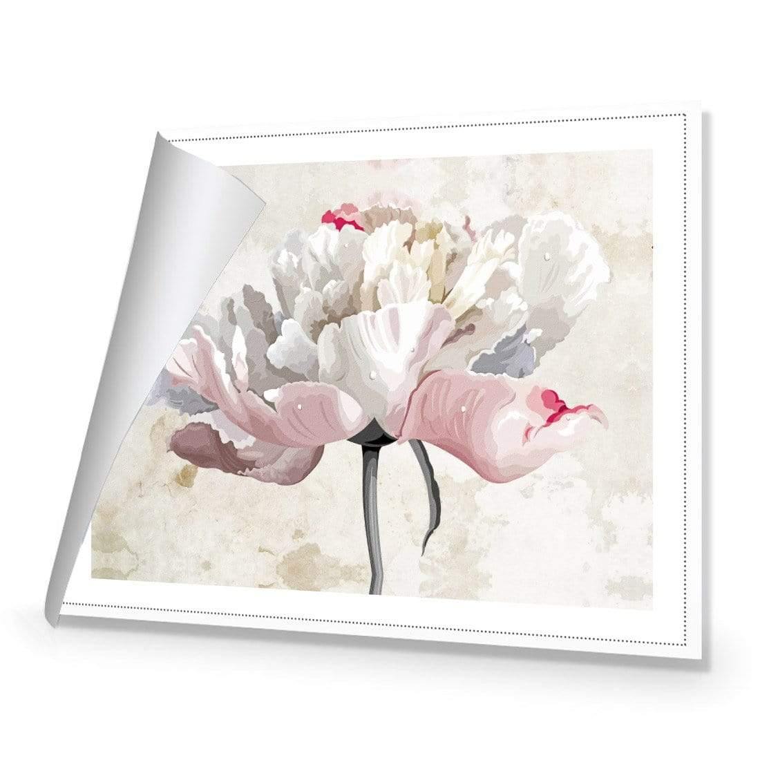 Delicate Bloom - Wall Art Designs - AU_1024_AR_H CAF_CP - MPY - 260 - M - R_45x30_NONE