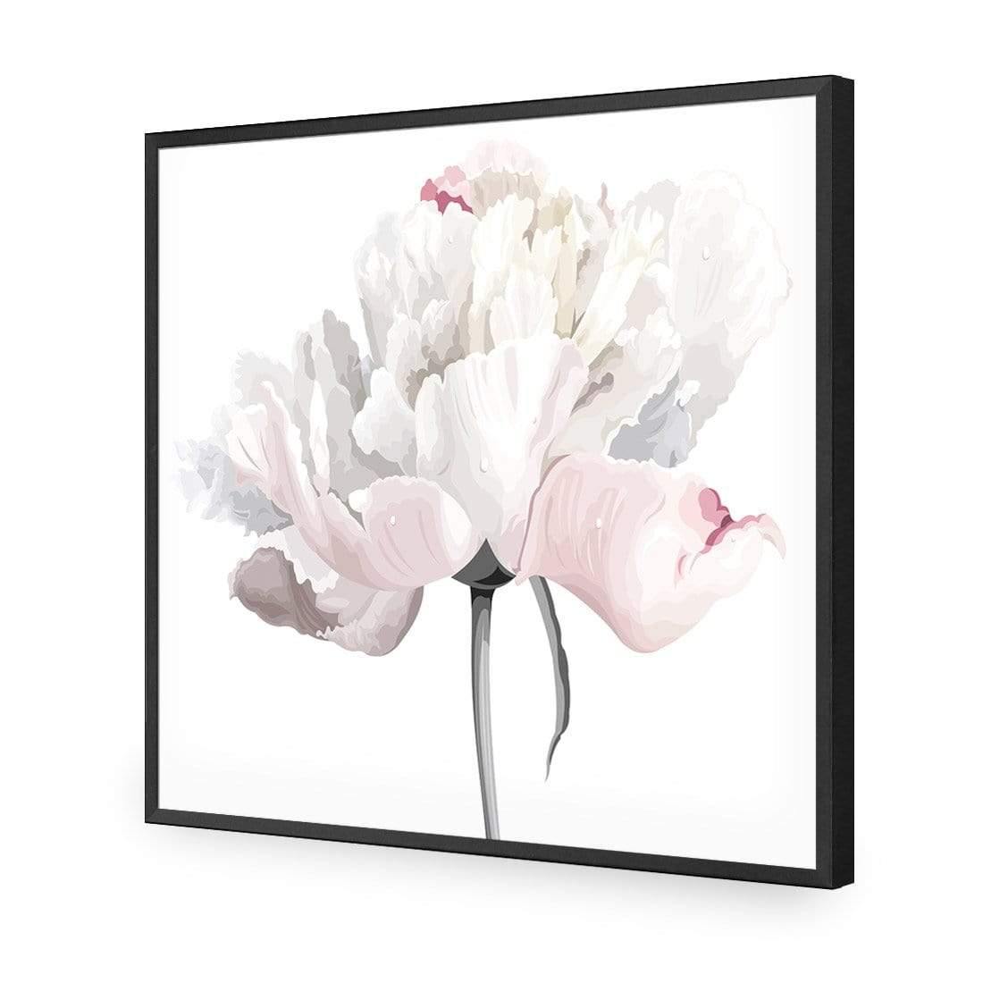 Delicate Bloom on White (Square) - Wall Art Designs - 3061_AS_Q WAD_AP - 030 - EDG_37x37_S - 2538 - BLK