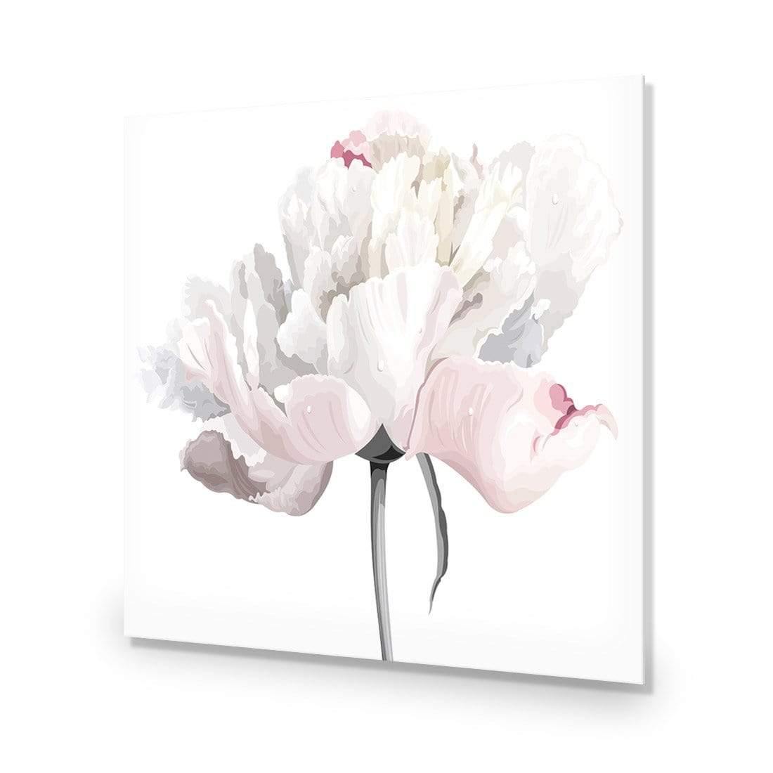 Delicate Bloom on White (Square) - Wall Art Designs - 3061_AS_Q WAD_AP - 030 - EDG_37x37_NONE