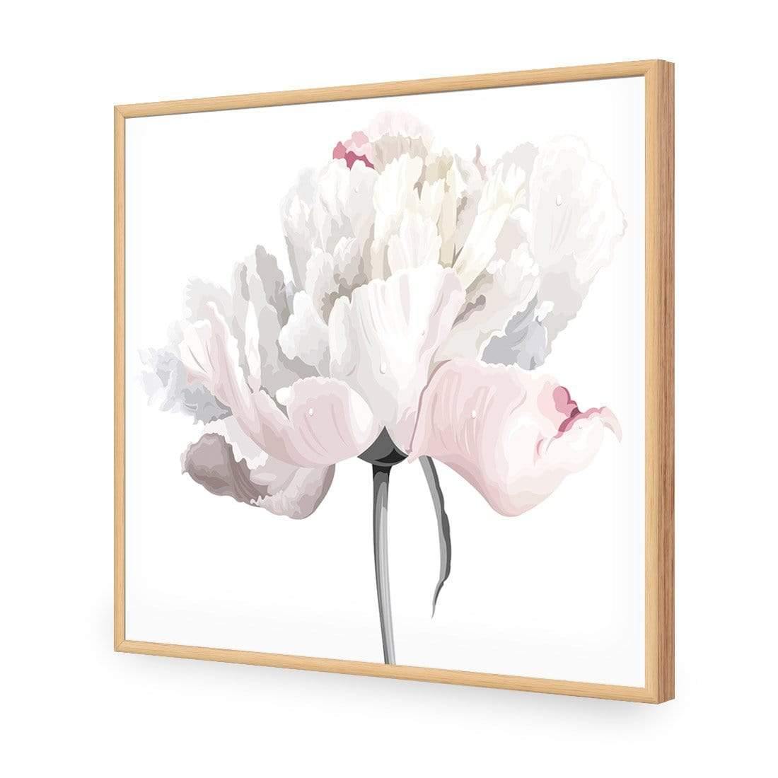 Delicate Bloom on White (Square) - Wall Art Designs - 3061_AS_Q WAD_AP - 030 - EDG_37x37_S - 2538 - OAK