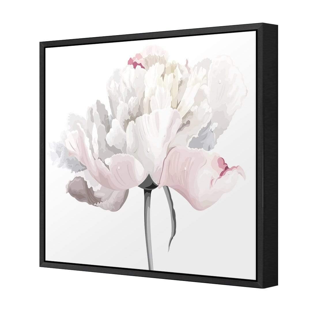 Delicate Bloom on White (Square) - Wall Art Designs - 3061_AS_Q WAD_CP - MPY - 260 - M - S - S_37x37_S - 1550 - BLK