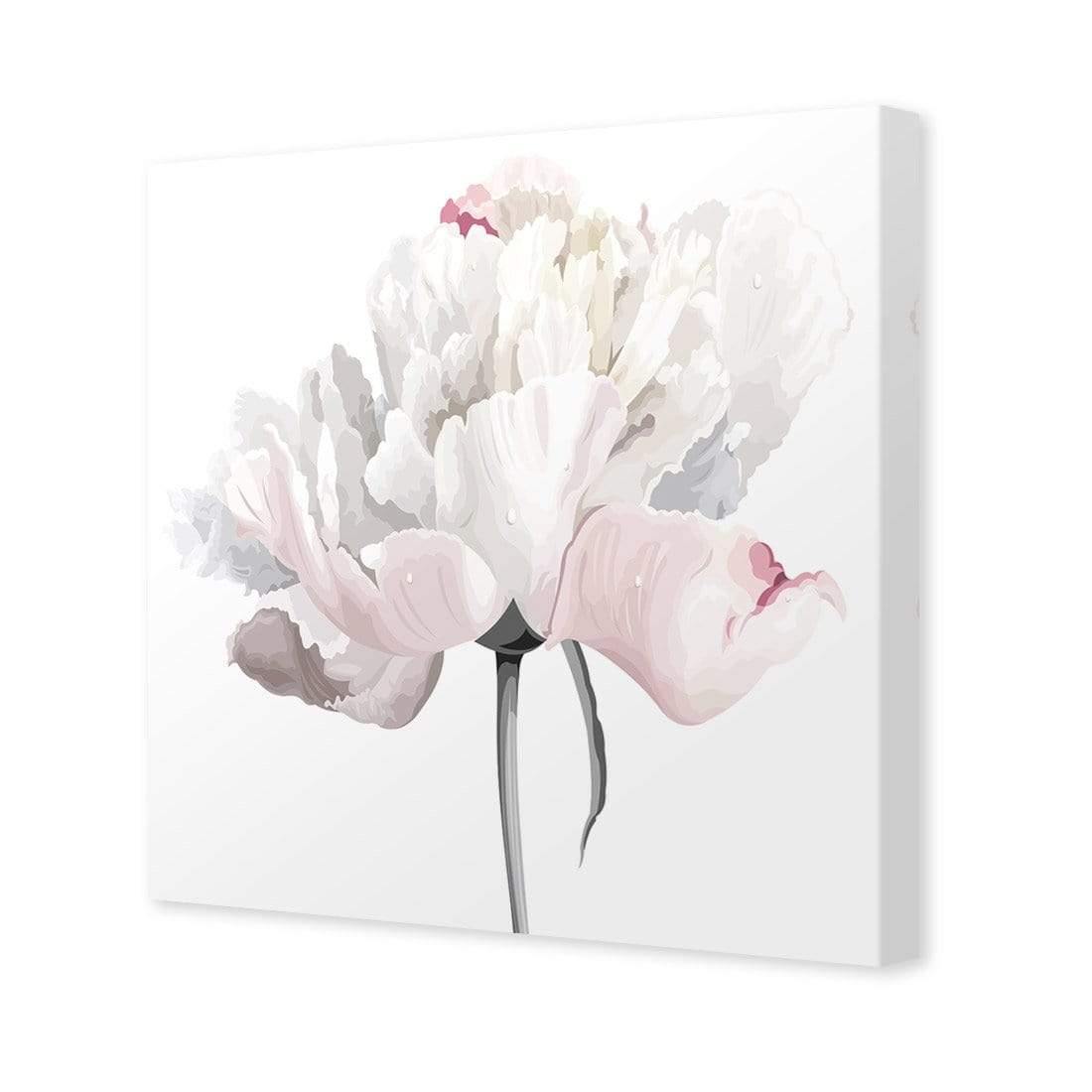 Delicate Bloom on White (Square) | Classic Canvas | No Frame | Stretched Canvas