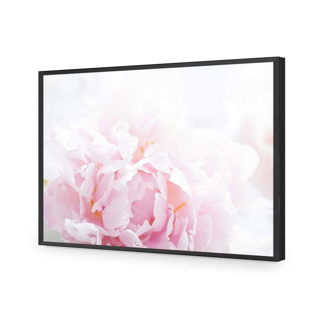 Delicate Pink Peony - Wall Art Designs - 3272_AR_H CAF_AP - 030 - EDG_45x30_S - 2538 - BLK