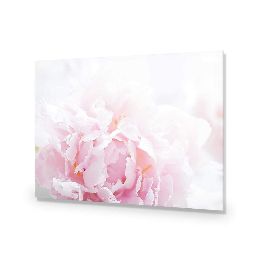 Delicate Pink Peony - Wall Art Designs - 3272_AR_H CAF_AP - 030 - EDG_45x30_NONE