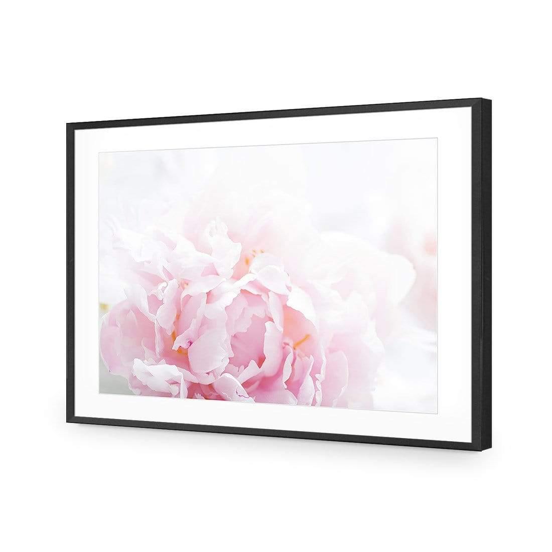 Delicate Pink Peony - Wall Art Designs - 3272_AR_H CAF_AP - 030 - MAT_45x30_S - 2538 - BLK