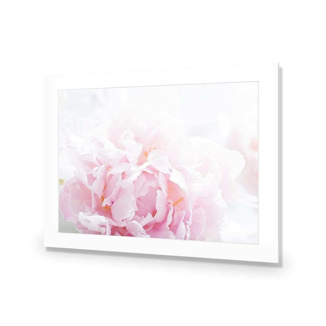 Delicate Pink Peony - Wall Art Designs - 3272_AR_H CAF_AP - 030 - MAT_45x30_NONE