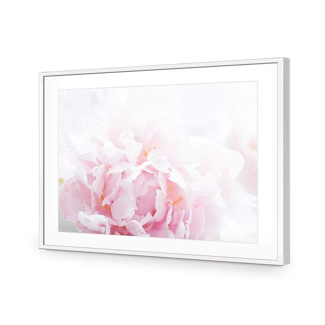 Delicate Pink Peony - Wall Art Designs - 3272_AR_H CAF_AP - 030 - MAT_45x30_S - 2538 - WHT