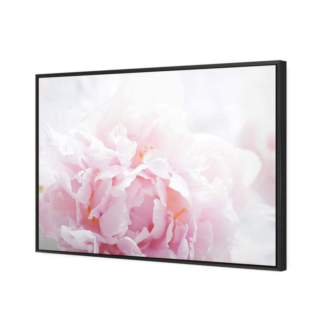 Delicate Pink Peony - Wall Art Designs - 3272_AR_H CAF_CP - MPY - 260 - M - S - S_45x30_S - 1550 - BLK