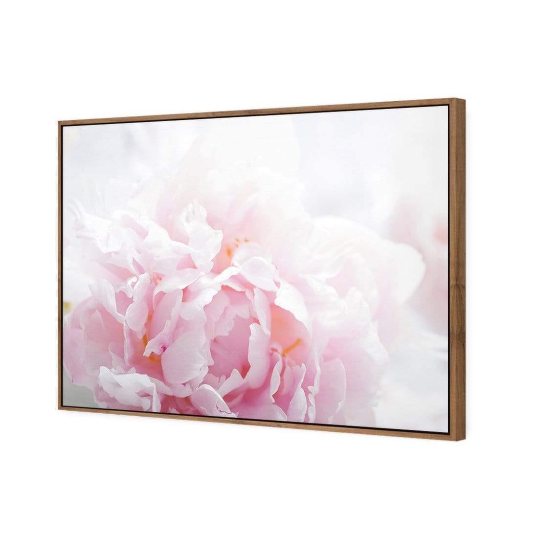 Delicate Pink Peony - Wall Art Designs - 3272_AR_H CAF_CP - MPY - 260 - M - S - S_45x30_S - 1550 - NAT