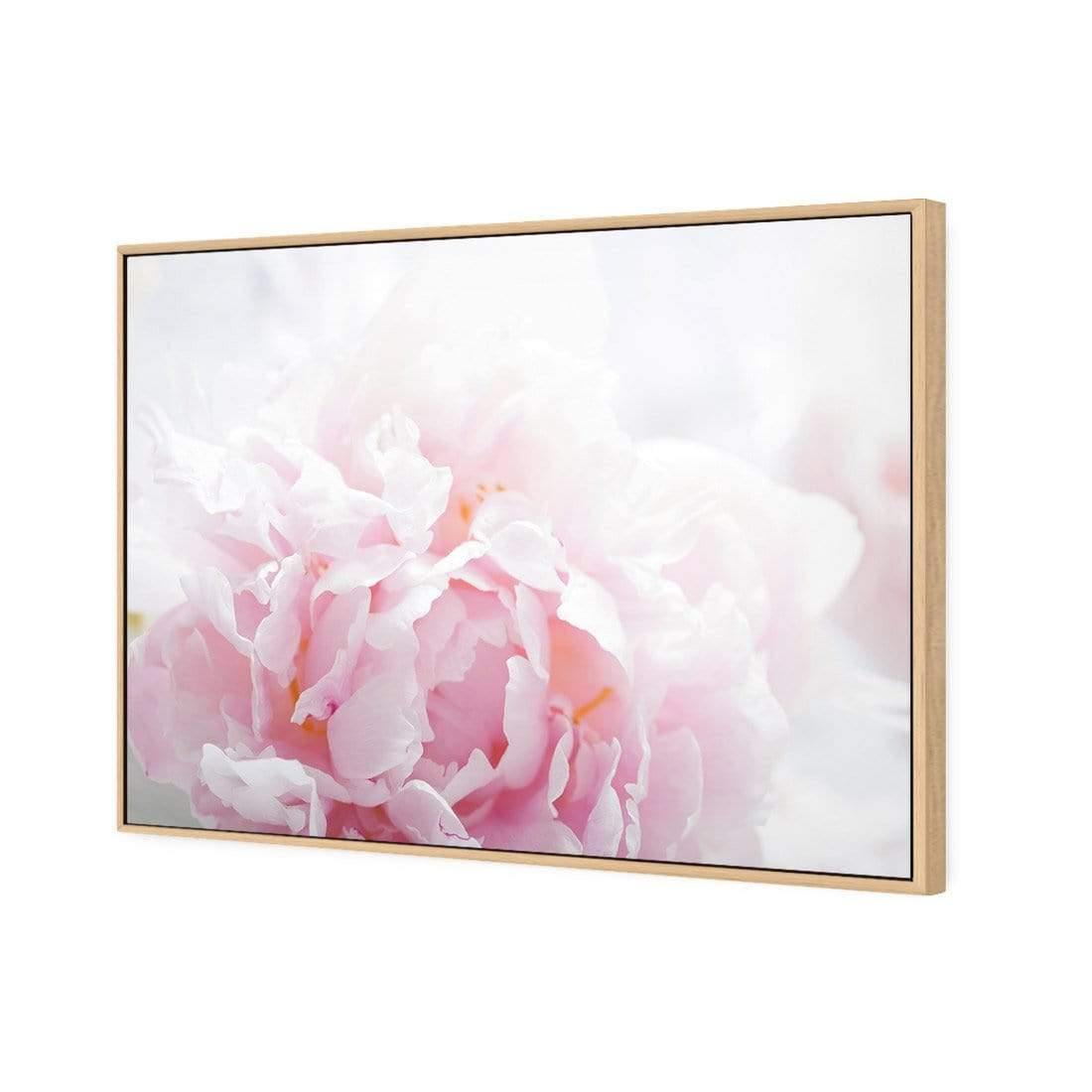 Delicate Pink Peony - Wall Art Designs - 3272_AR_H CAF_CP - MPY - 260 - M - S - S_45x30_S - 1550 - OAK